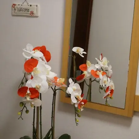 Διαμέρισμα Jadranka *