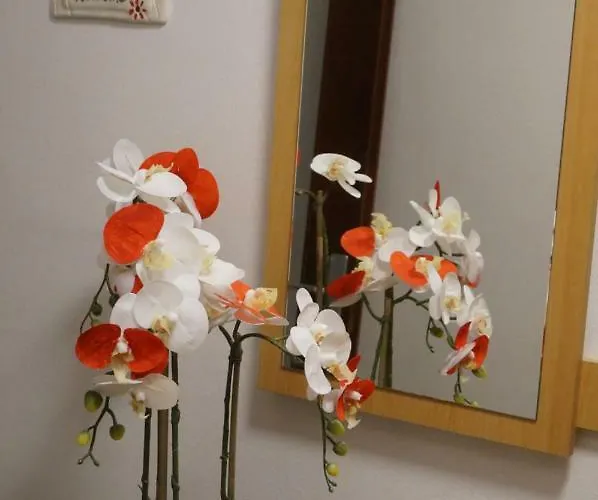 Apartmán Jadranka *